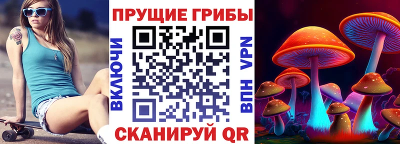 как найти наркотики  Назрань  Псилоцибиновые грибы GOLDEN TEACHER 