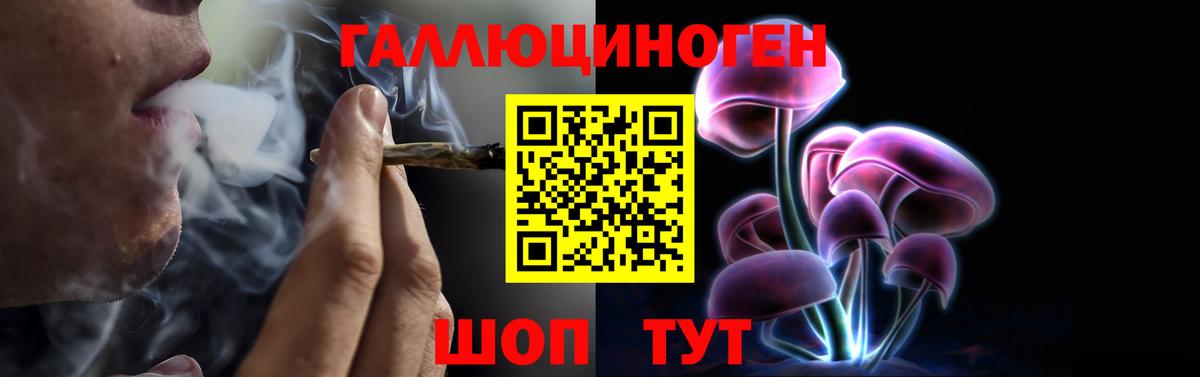 как найти закладки  Псилоцибиновые грибы Magic Shrooms  Назрань  Вход с VPN  Галлюциногенные грибы Cubensis 