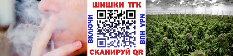 Канабис сатива Назрань